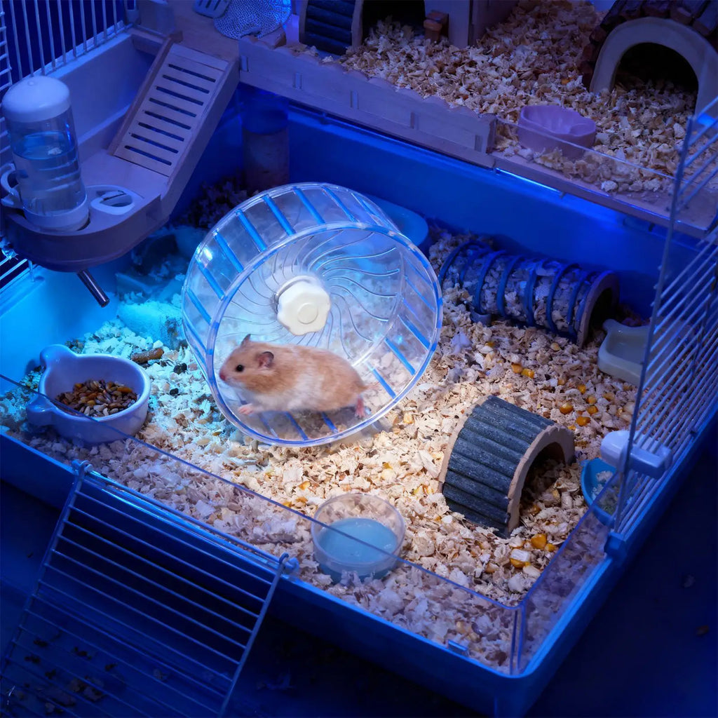 Hamster Running Sport Transparent Widened Running Wheel Support Toy Small Pet Roller Bearing Silent Running Wheel