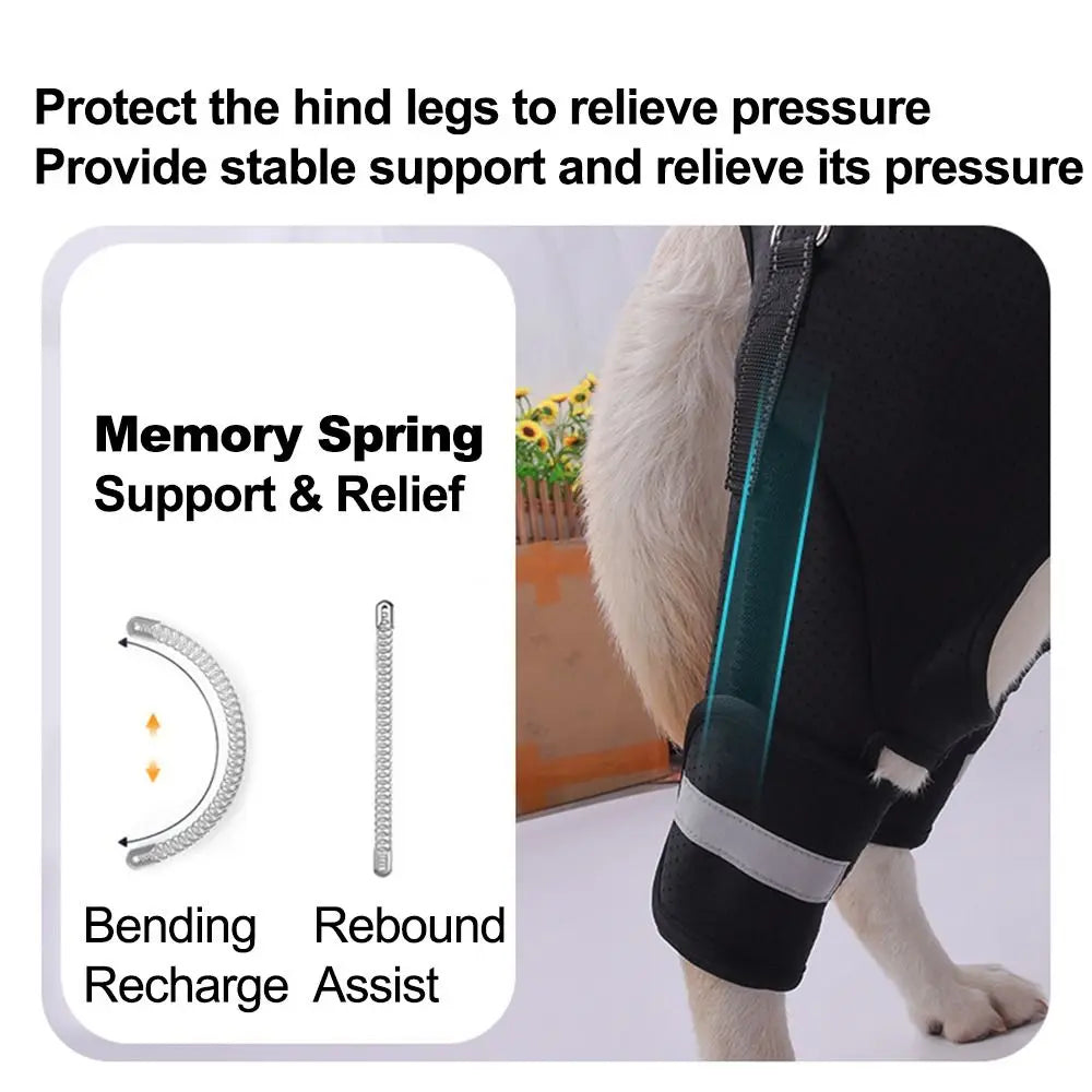Legs Hip Support Dog Lift Harness Adjustable Black Pet Aid Assist Tool Breathable Soft Padded Dog Rear Leg Support
