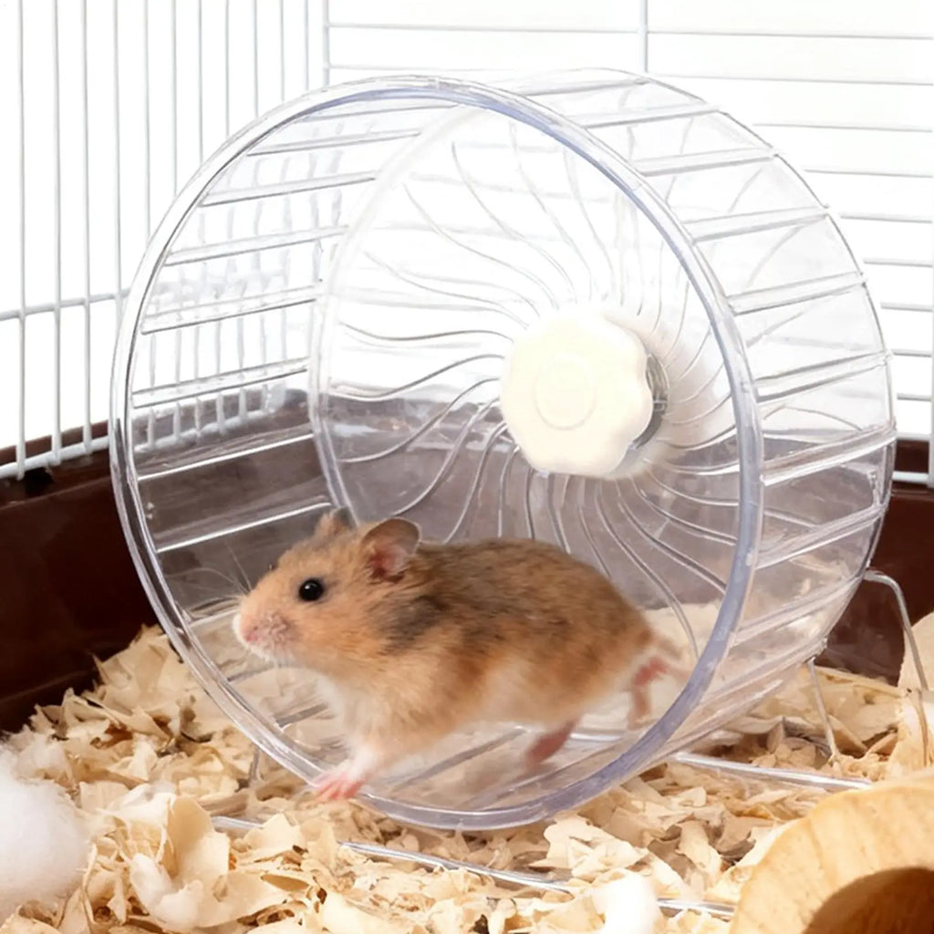 Hamster Running Sport Transparent Widened Running Wheel Support Toy Small Pet Roller Bearing Silent Running Wheel