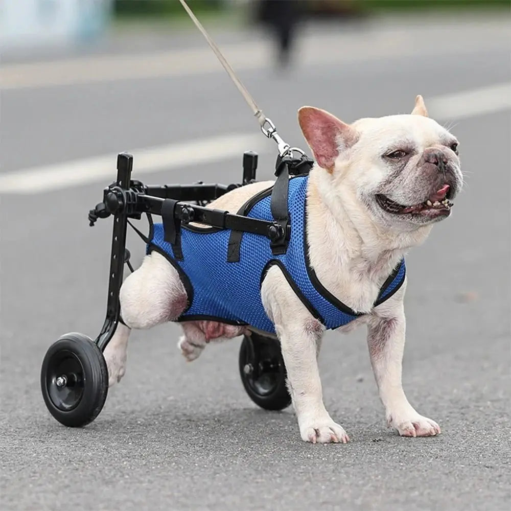 Adjustable Pet Walk Booster Walking Wheels Durable Pet Hind Legs Bracket Blue Pet Walk Tool Cat Recovery Aid Car Disability Dog