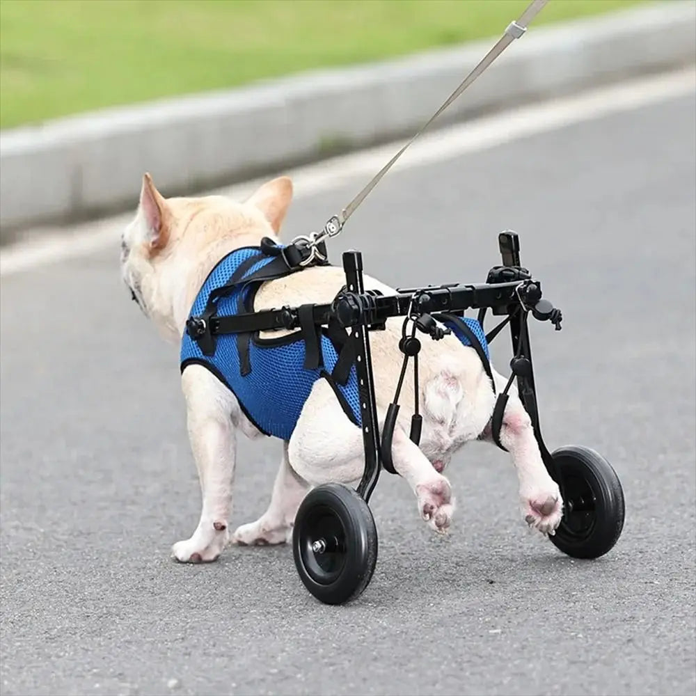 Adjustable Pet Walk Booster Walking Wheels Durable Pet Hind Legs Bracket Light Pet Walk Tool Cat Recovery Aid Car Disability Dog