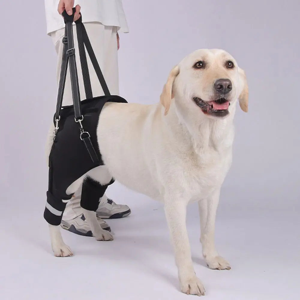 Legs Hip Support Dog Lift Harness Adjustable Black Pet Aid Assist Tool Breathable Soft Padded Dog Rear Leg Support