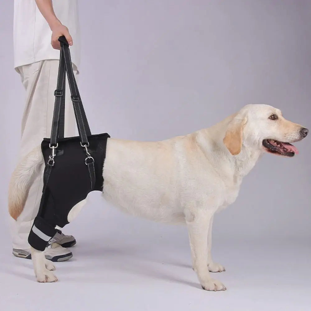 Legs Hip Support Dog Lift Harness Adjustable Black Pet Aid Assist Tool Breathable Soft Padded Dog Rear Leg Support