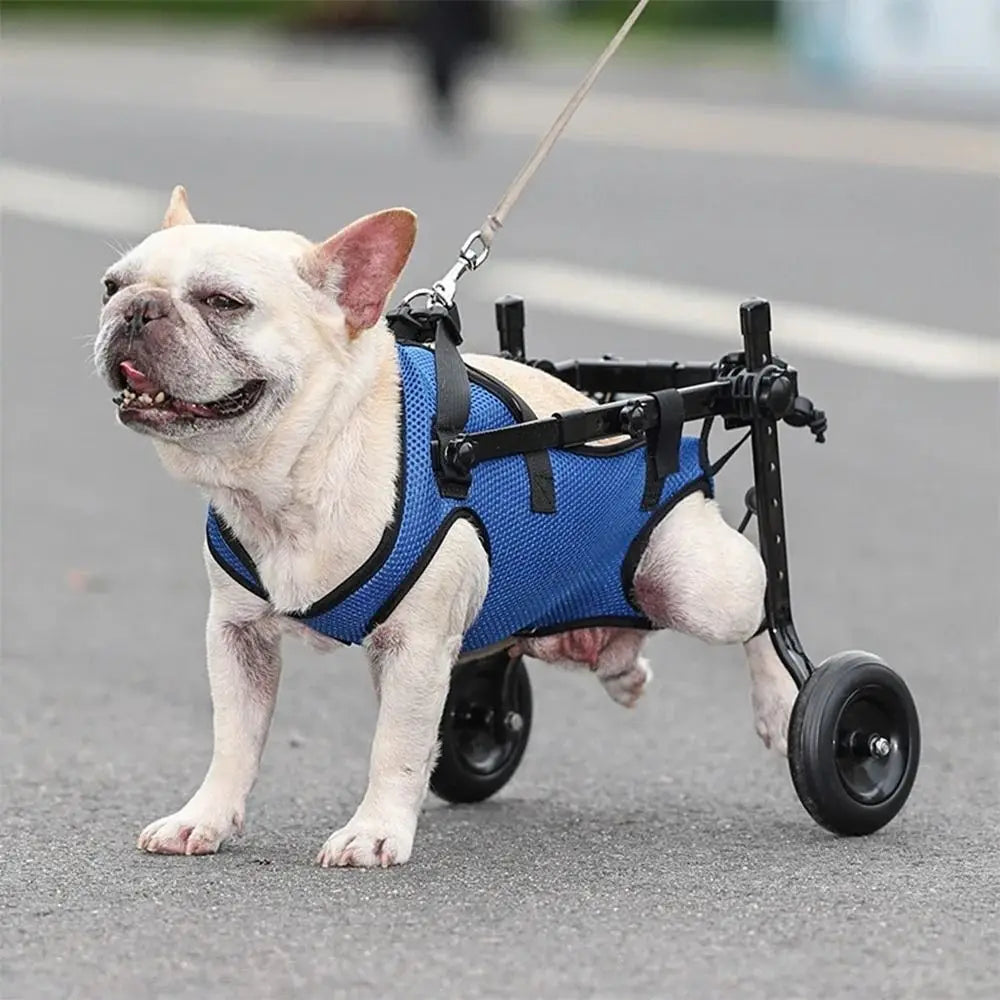 Adjustable Pet Walk Booster Walking Wheels Durable Pet Hind Legs Bracket Light Pet Walk Tool Cat Recovery Aid Car Disability Dog