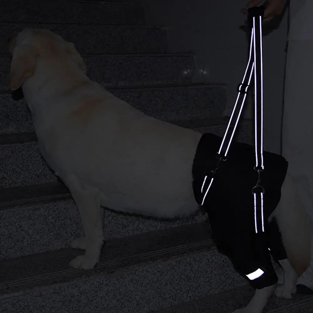 Legs Hip Support Dog Lift Harness Adjustable Black Pet Aid Assist Tool Breathable Soft Padded Dog Rear Leg Support