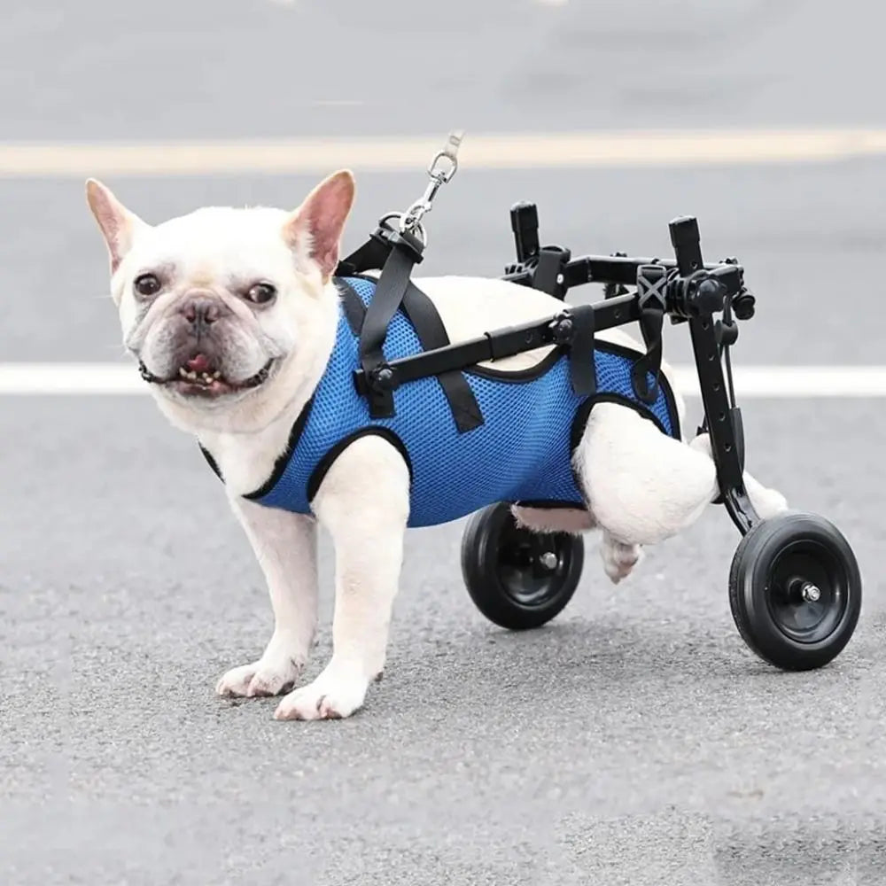 Adjustable Pet Walk Booster Walking Wheels Durable Pet Hind Legs Bracket Light Pet Walk Tool Cat Recovery Aid Car Disability Dog