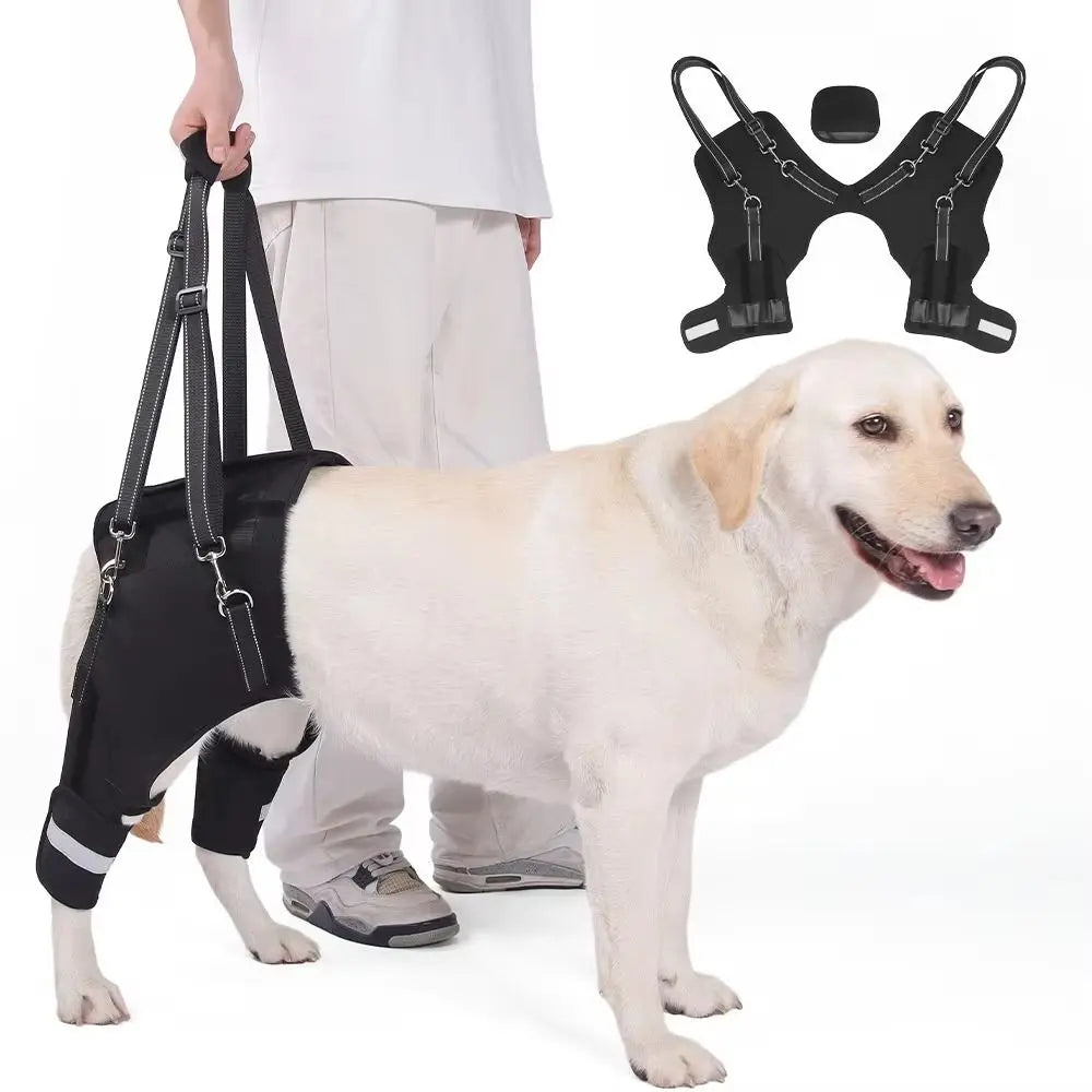 Legs Hip Support Dog Lift Harness Adjustable Black Pet Aid Assist Tool Breathable Soft Padded Dog Rear Leg Support
